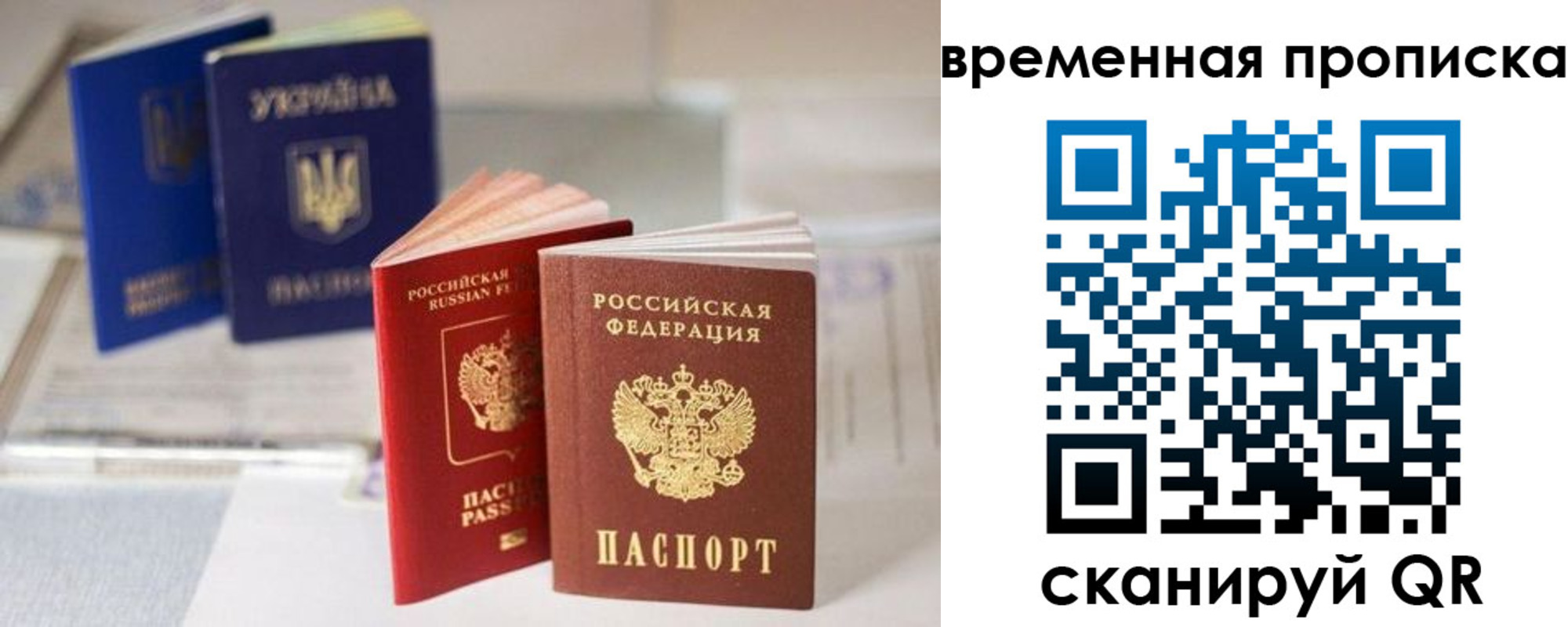 найти адрес прописки в Курске